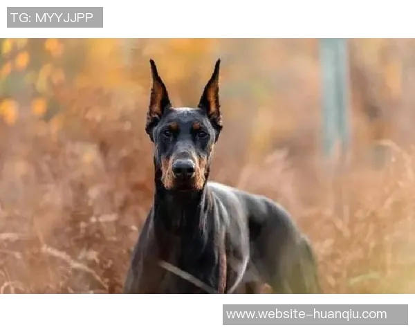 红军标王伊萨克状态回暖自信满满称现在下结论还为时尚早